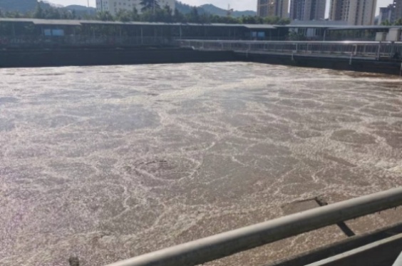 污水處理——脫氮